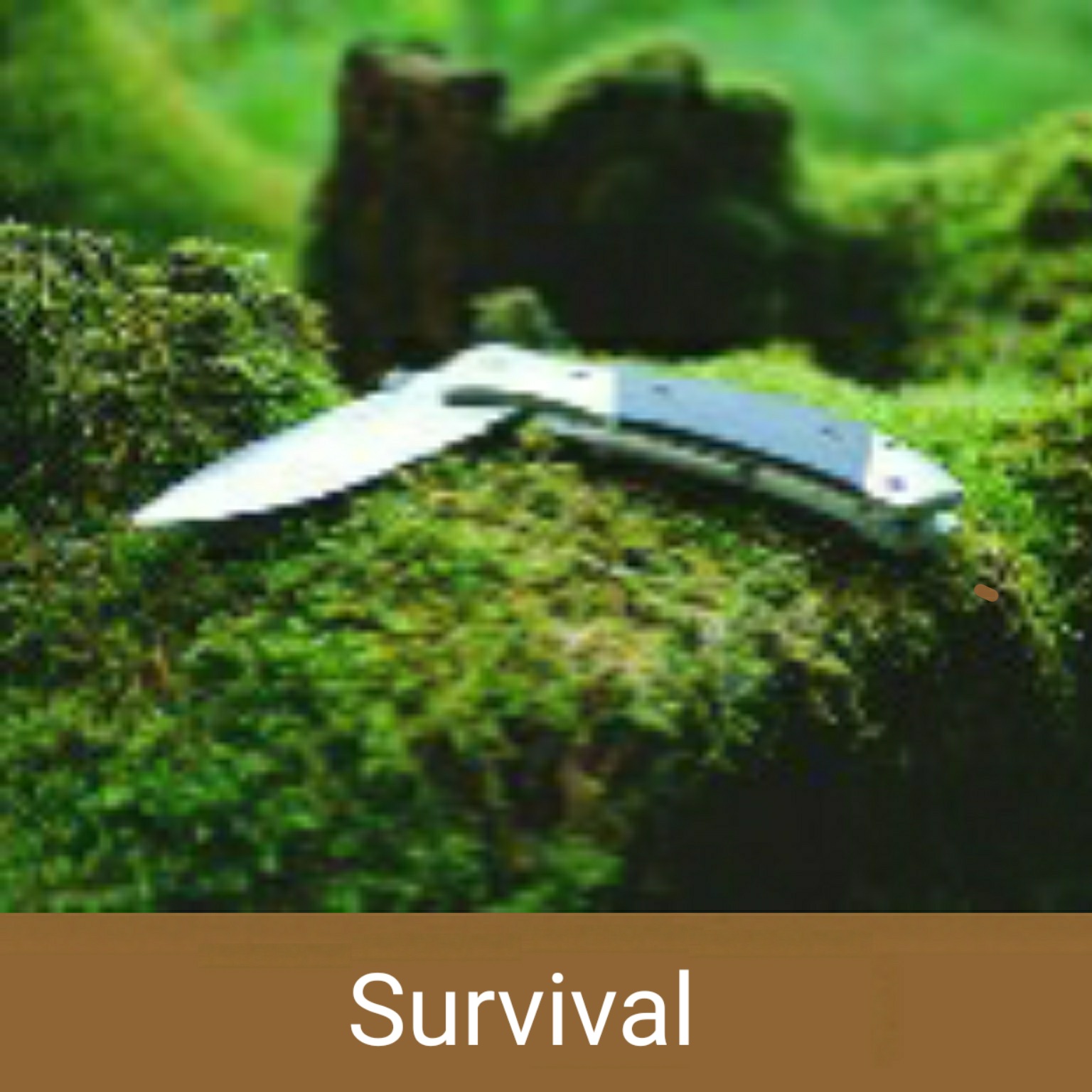 Survival